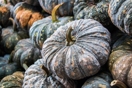 Pumpkin in fruit marketの写真素材