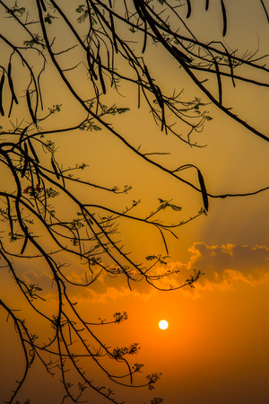 Sunset backgroundの写真素材