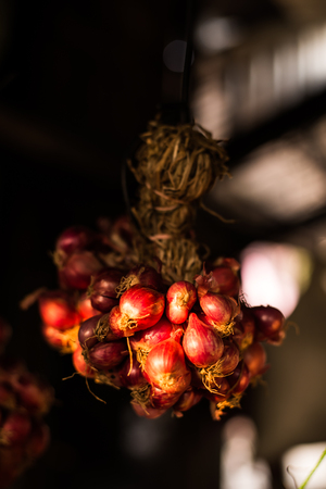 Onion in kitchen dark toneの写真素材