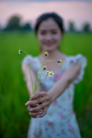 Portrait of beautiful girl holding grass flowers in the rice field