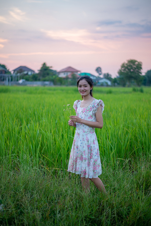 Beautiful girl in the rice fieldの写真素材