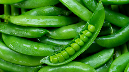 Close up green peas healthy foodの写真素材