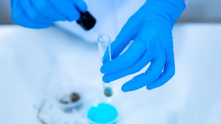 Scientists extract hemp oil in the labの写真素材