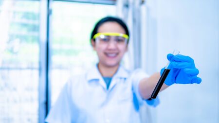 Scientists extract hemp oil in the labの写真素材