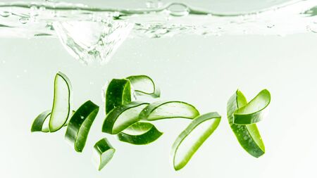 Aloe vera in the waterの写真素材