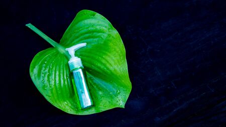 Perfume bottle on green leaf natural cosmetic