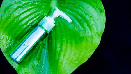 Perfume bottle on green leaf natural cosmetic