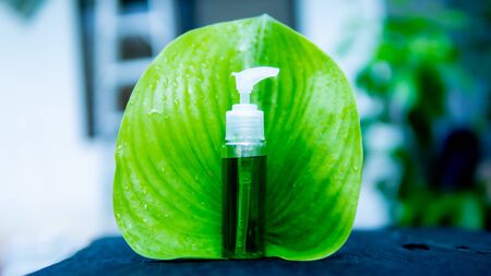 Perfume bottle on green leaf natural cosmeticの写真素材