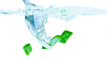 Fresh aloe vera splashing in waterの写真素材