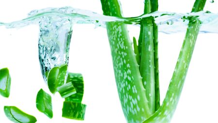 Fresh aloe vera splashing in waterの写真素材