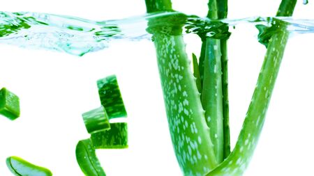 Fresh aloe vera splashing in waterの写真素材