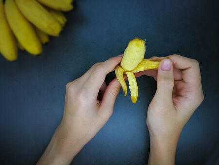 Lady finger banana or Golden banana  on black backgroundの写真素材