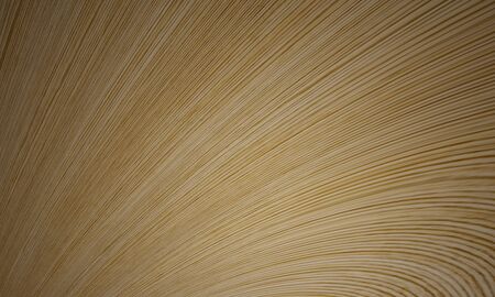 Abstract curve and  pattern look like  Wood grain use for background or wallpaper. Light soft wood...