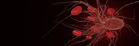 flagellum or  flagella of Bacteria attack red blood. Transform Coronavirus disease COVID-19 infection medical concept.  New official name for Coronavirus disease named COVID-19. 3D Rendering.の写真素材