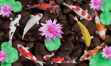 Koi or fancy koi fish swim in a circle. Conveys good fortune in feng shui. Fish swimming in a lotus pond With pink lotus flowers The pond floor is a river rock. 3D Renderingの写真素材