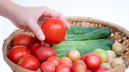 Female left hand Hold the tomato in your hand. Bamboo basket put available fruits and vegetables like cucumber and tomato on white background.の写真素材