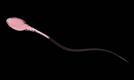 close up simulates sperm for human reproduction Its head is slender, oval and has a long tail, clear...