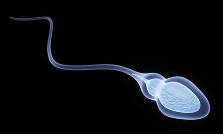 The sperm fertility from men's cum. Sperm illustration, Medically accurate 3D Rendering.  Blue sperm...