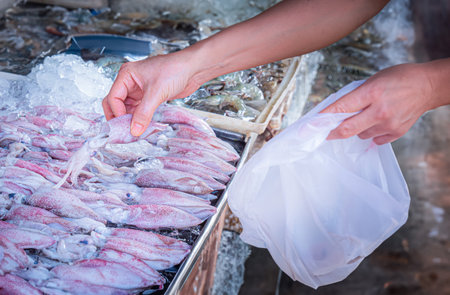 People's hands are shopping for seafood such as squid on a pickup truck at a fresh market. There is...