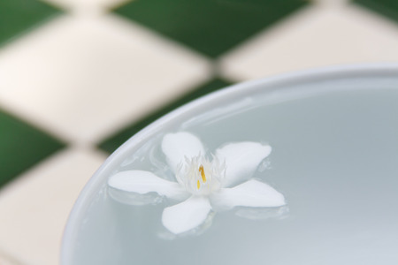 The PUD Pitchaya  flowers on the water in bowlの写真素材