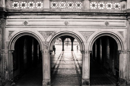 Into the Central Parkの写真素材