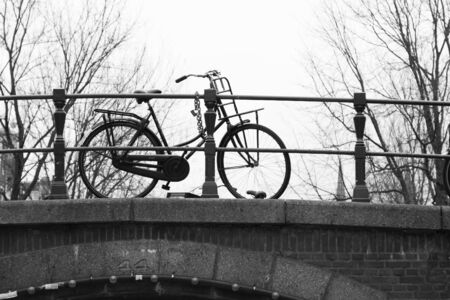 The bridgeのeditorial素材