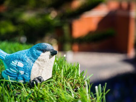 blue bird on green grassの写真素材