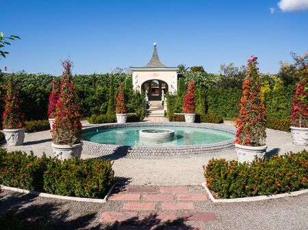 garden flowers and blue skyのeditorial素材