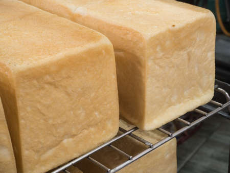 soft bread in factory