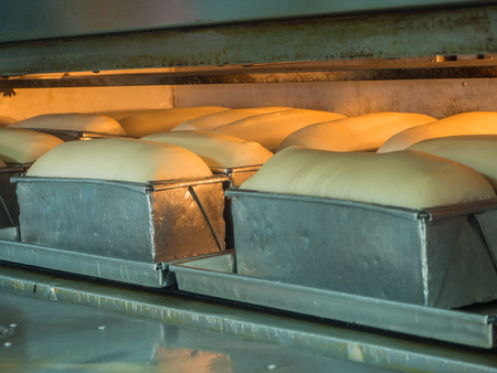 loaf bread in ovenの写真素材