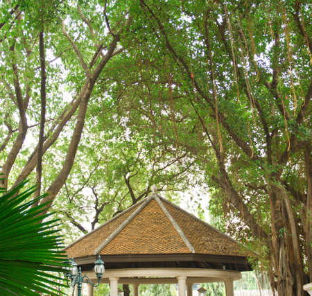 pavilionの写真素材