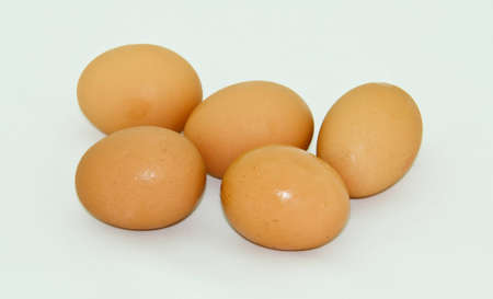 eggの写真素材