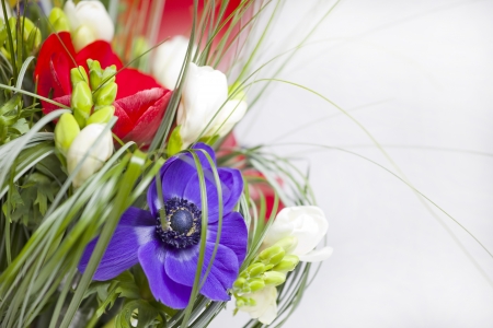 Anemones, and freesia flowers in a beautiful bouquet in a vaseの写真素材