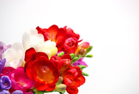 Beautiful bouquet of colorful freesia on a white backgroundの写真素材