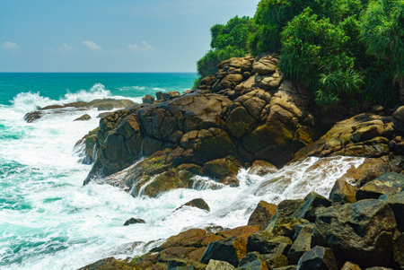 Rocky coast with tropical plants and high wavesの写真素材