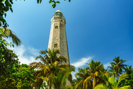 Lighthouse in the tropical trees against the blue skyの写真素材