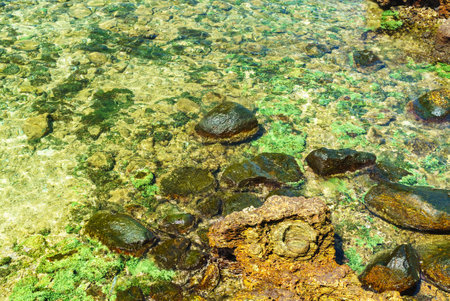Clear water on the seashore with coral stonesの写真素材