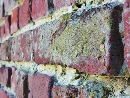Brick Wallの写真素材