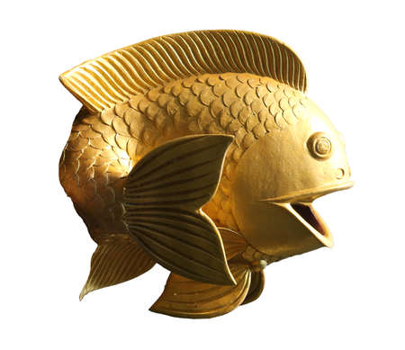 The big statues goldfish and white background.の写真素材