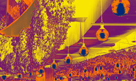 Lamp - Background Texture and abstract