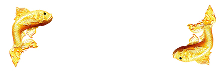 The twin golden fish of statue on white isolated backgroundの写真素材