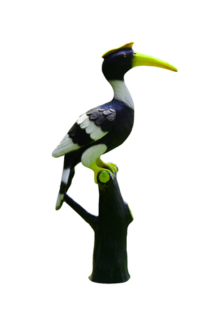 Hornbill bird of statue is facing side on isolate white backgroundの写真素材