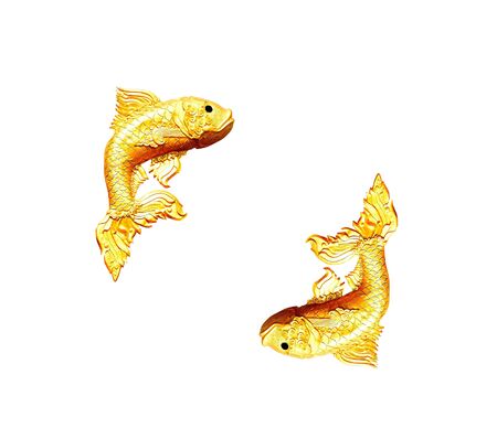The twin golden fish of statue on white isolated backgroundの写真素材