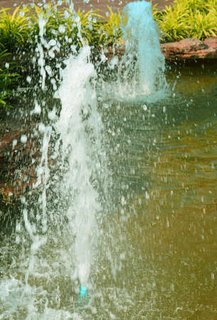 The fountain with green tree in the gardenの写真素材
