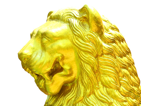 Facing side golden lion of statue is formidable on white backgroundの写真素材