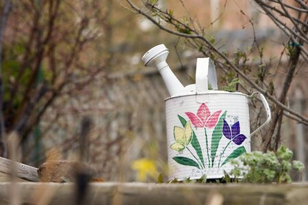 Horizontal image of flowered watering canの写真素材