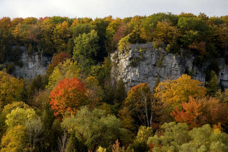 Cliffs of Rattlesnake Point in autumnの写真素材