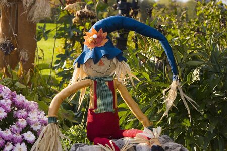 Halloween scarecrow with a long hatの写真素材