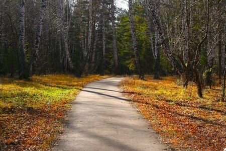 Quiet place in the parkの写真素材