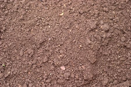 Humus a ground close upの写真素材